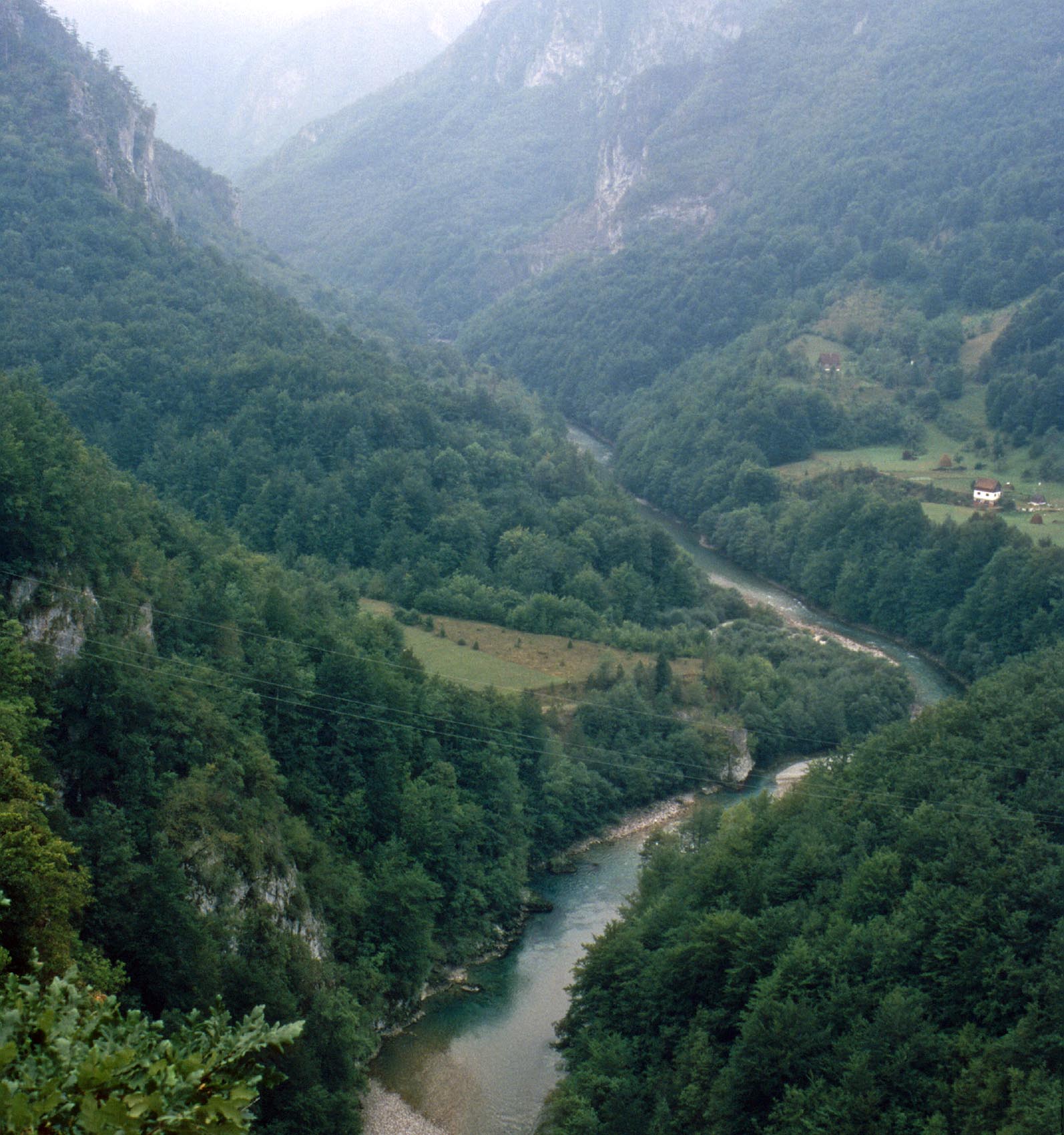 ...Tara Schlucht.