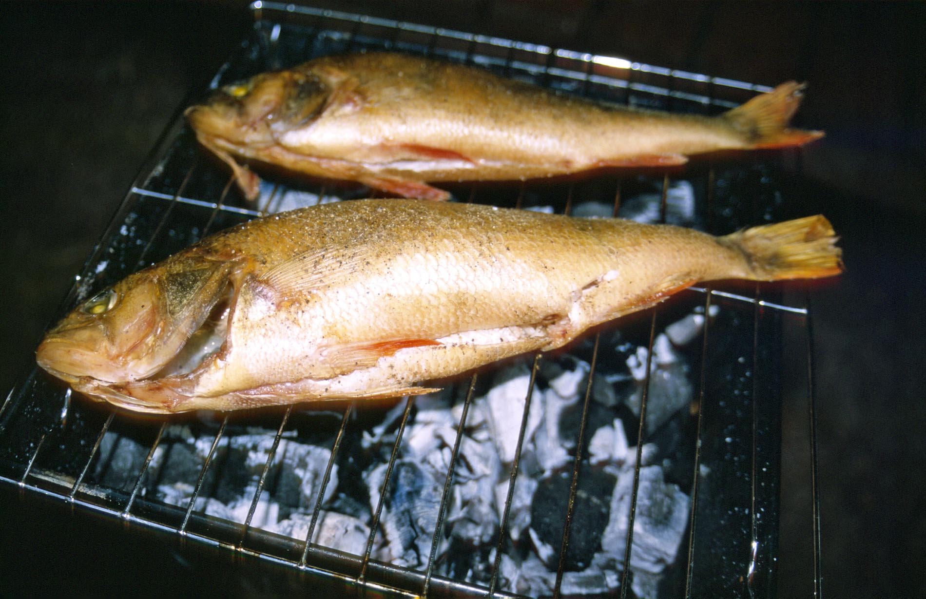 Grillen am Abend - erquickend und labend.