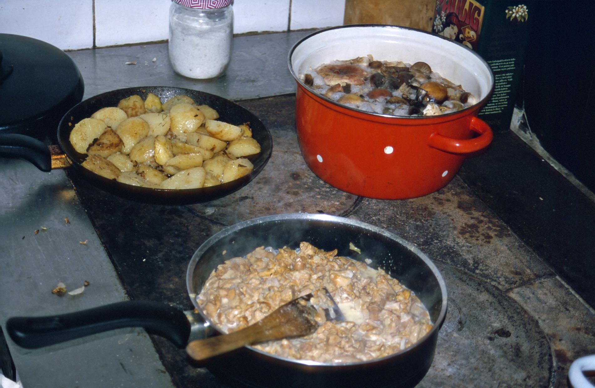 Hanne's Pilzzauber.