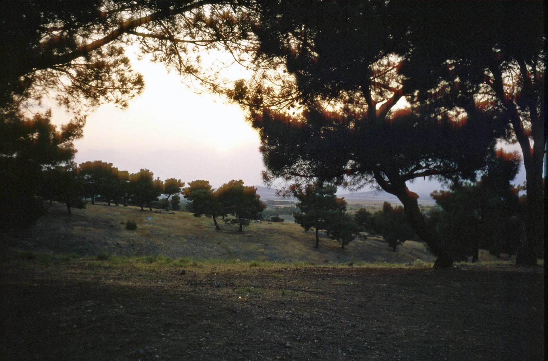 Abendstimmung im Picknickgelände.