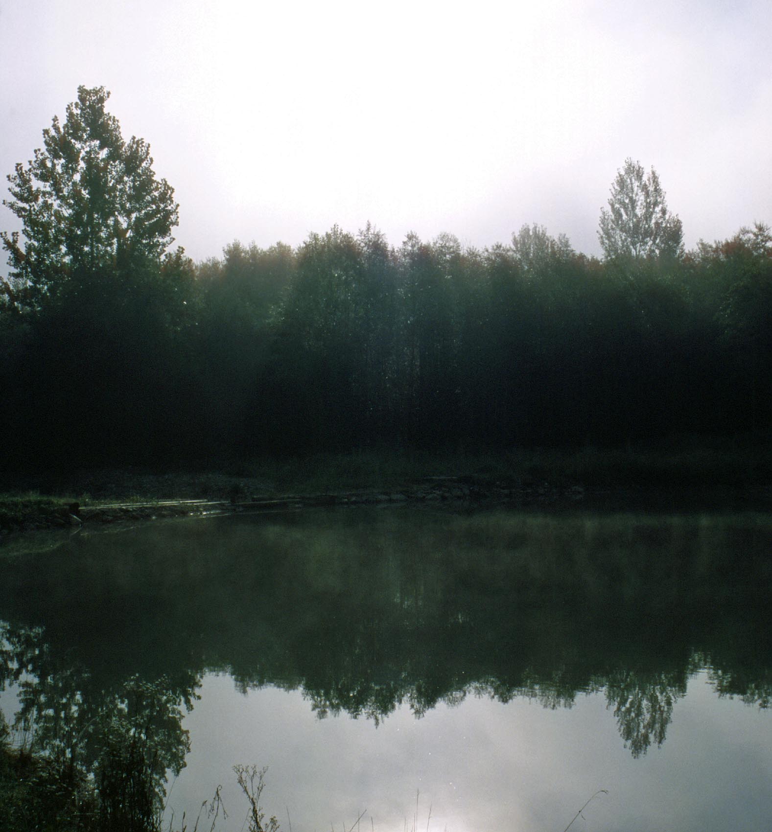 Morgens am See.